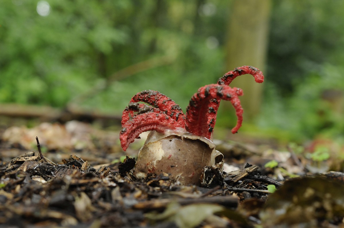 Porno toifadagi massaj Nikol Aniston Yalangoch ayol styuardessalarning fotosuratlari